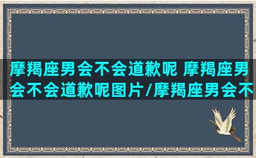 摩羯座男会不会道歉呢 摩羯座男会不会道歉呢图片/摩羯座男会不会道歉呢 摩羯座男会不会道歉呢图片-我的网站